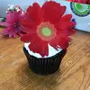 James Guice - @2184867547 - TikTok