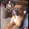 James guice - @james.guice47 - TikTok