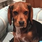 James Guilder - @jamesguilder - Instagram