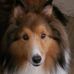 James Guion - Facebook