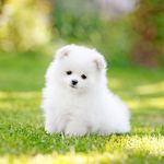 JAMES GULLASON - @james_gullason - Instagram