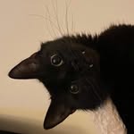 @jamesgulliver2 - Instagram