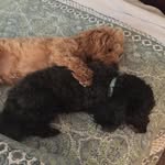 James Gurriere - @jamesgurriere - Instagram