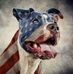 James Hadnot - Facebook