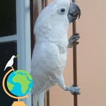 James Haikney - @jameshaikney - Instagram