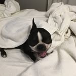 James Hakey - @hakeyjames - Instagram