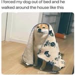 James Haldeman - @james.haldeman.07 - Instagram