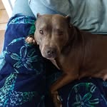 James Hallmark - @hallmark3016 - Instagram