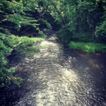 James Halmstad - @jameshalmstad - Instagram