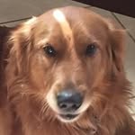 James Haluska - @bruin_jh - Instagram