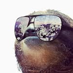 James Hannen - @slothofthejungle - Instagram