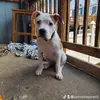 Luna Hepner - @jameshepner0 - TikTok