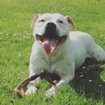Jammes Harbord - @james_harbord - Instagram