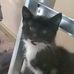 James Harbottle - Facebook