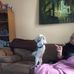 Jim Harbottle - Facebook