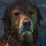 James Harmon - @james_harmon83 - Instagram