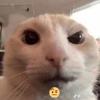 James Harr - @jamesharr_6104 - TikTok
