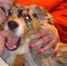 James Harrell - Facebook
