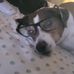 James Hauenstein Jr. - Facebook
