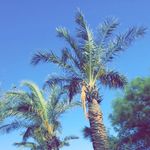 James Harries - @james_harries_03 - Instagram