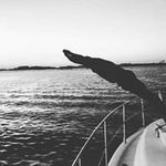 James Harries - @jakharries98 - Instagram