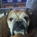 James Harsch - Facebook