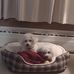 James Hartzler - Facebook