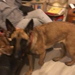 James Hassel - @james_hassel12 - Instagram