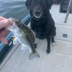 James Hassell - @james.hassell.96 - Instagram
