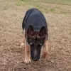 janesehasselbeck6 - @janesehasselbeck6 - TikTok