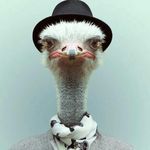james hatch - @james.hatch_ - Instagram