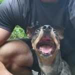 Gregory James Hatchard - @g.hatchard - Instagram