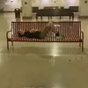 James Haupt - @james.haupt - TikTok