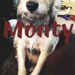 James Hauser - @james.hauser.180 - Instagram