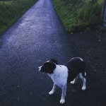 James Havelock Tucker - @jameshavelocktucker - Instagram