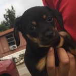 Hawkeye James - @hawkeye_james - Instagram