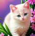James Hassan - Facebook