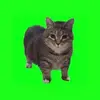 jamesheadley54 - @jamesheadley54 - TikTok