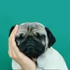 James_Heald - @user7s6ohr5gd73 - TikTok
