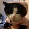 jamesheald265 - @jamesheald265 - TikTok