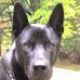 Jim Heberling - Facebook