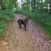 James Hebrank - Facebook