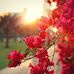 James Hedderich - Facebook