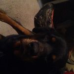 James Hefley - @hefley.james - Instagram