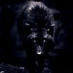 James Hendricks - @jameshendricks33267 - Instagram