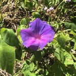 James Hennig - @jimmys_holistichealth - Instagram