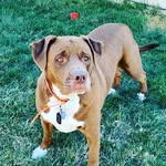 Joseph james henrie - @josephhe8 - Instagram
