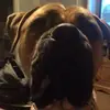 jameshenshaw74 - @jameshenshaw74 - TikTok