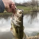 kelton james hetrick - @keltonhetrick5 - Instagram