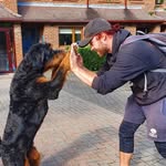 James Hibberd - @james_pawfit - Instagram